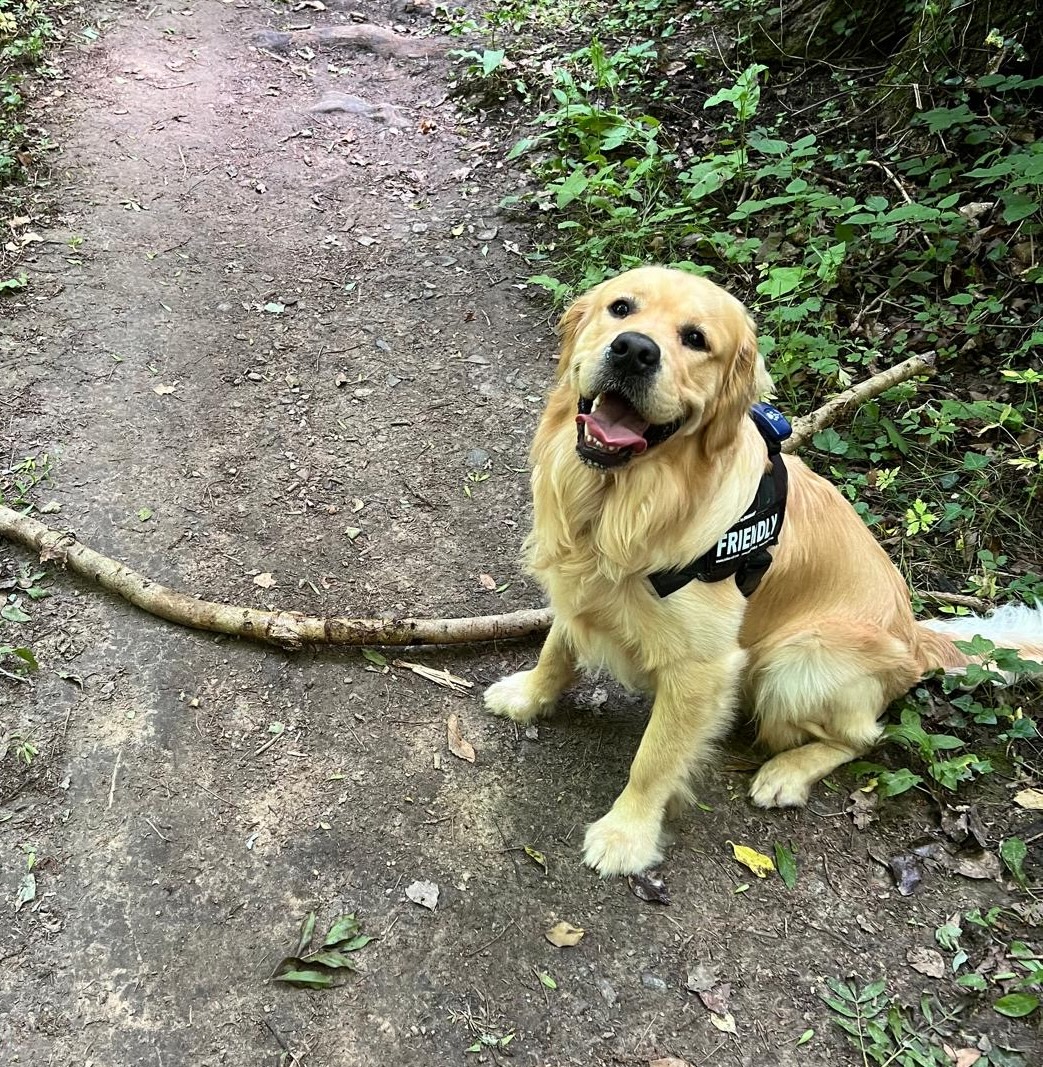 Photo of Monty